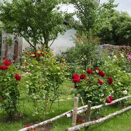 Roze I Jablonie Gryfów Śląski