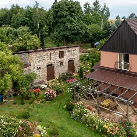 Róże I Jabłonie Gryfów Śląski