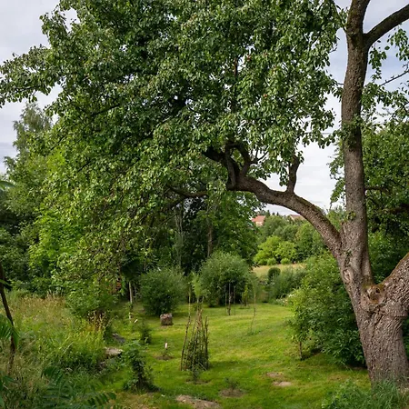 Róże I Jabłonie Gospodarstwo agroturystyczne