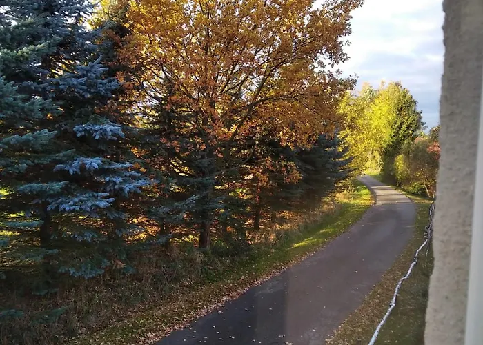 Roze I Jablonie * Gryfow Slaski